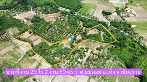 For SaleLandChiang Rai : Land for sale with 70 teak trees, aloes trees, various types of fruit orchards, ready to harvest, Thoeng District, Chiang Rai, 20-2-50 rai.