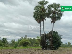 For SaleLandKamphaeng Phet : Empty land (rice field) Ban Luang, 39 rai 73 sq m, price 4.3 million baht, selling very cheap.