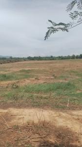 For SaleLandRatchaburi : Land for sale, suitable for a factory Near Ratchaburi District Court