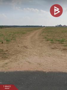 For SaleLandSurin : Urgent sale, large plot of land, area 539 rai 56 square wa, Kabcheing, Surin