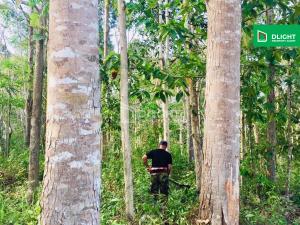 For SaleLandKoh Samui, Surat Thani : For sale: 30-year-old teakwood land with a large detached house, 11 rai, 1 ngan, 63 sq m, price 9.2 million baht.