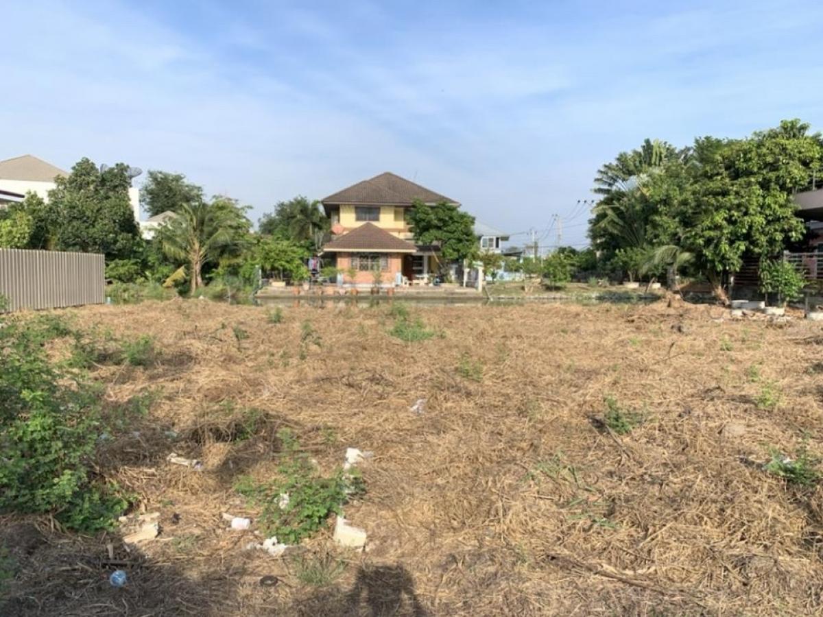 For SaleLandRama5, Ratchapruek, Bangkruai : 2 plots of land for sale next to the village lake.