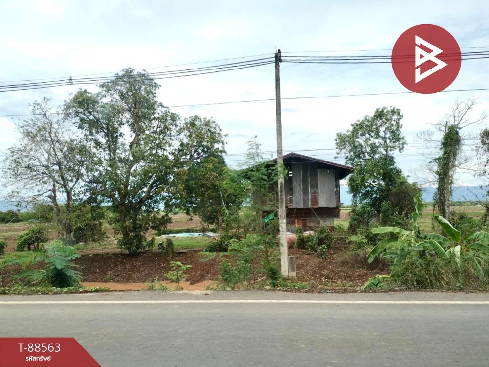 For SaleLandPhetchabun : Empty land for sale next to the road, area 17 rai, 84.2 sq m, Lom Sak, Phetchabun.