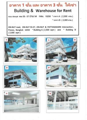 For RentShophousePattanakan, Srinakarin : Commercial building for rent Phatthanakan-On Nut 2 Building