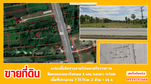 ขายที่ดินหาดใหญ่ สงขลา : ขายที่ดิน ติดถนนสาย4เลน สงขลา-ระโนด