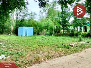 For SaleLandPhetchabun : Empty land for sale, area 91 square meters, Na Ngua, Phetchabun.