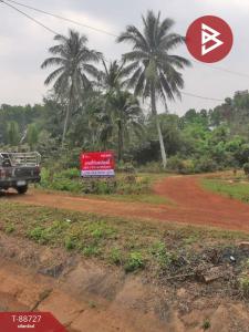 For SaleLandSakon Nakhon : Land for sale, area 5 rai 1 ngan 70 sq m, That Na Weng, Sakon Nakhon