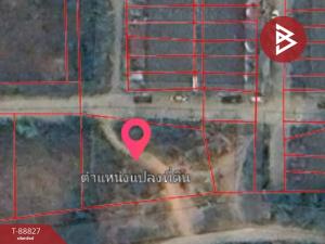 For SaleLandRatchaburi : Empty land for sale urgently, area 2 ngan 49 square wah, Pak Tho, Ratchaburi.