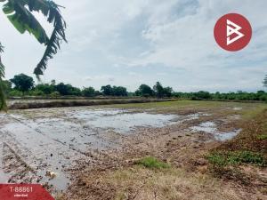 For SaleLandKorat Nakhon Ratchasima : Empty land for sale, area 16 rai 2 ngan 50 sq m, Sung Noen, Nakhon Ratchasima.