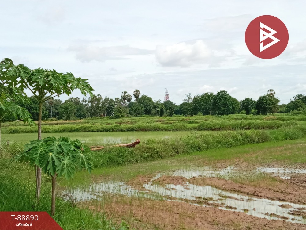 For SaleLandKorat Nakhon Ratchasima : Beautiful plot of land for sale, area 15 rai 2 ngan 48 square wah, Sung Noen, Nakhon Ratchasima.