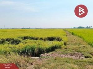 For SaleLandChachoengsao : Empty land for sale, 7 rai 2 ngan 75 square wah, Bang Nam Priao, Chachoengsao.