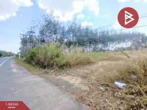 For SaleLandTrat : Beautiful land for sale, 4 rai 1 ngan, Nong Samet, Trat.