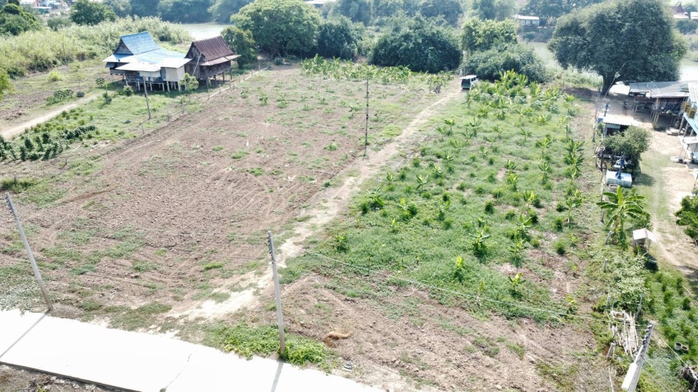 For SaleLandAyutthaya : Land for sale next to the river, Bang Nak, Ayutthaya, large plot next to the road.