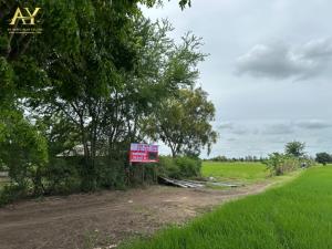 For SaleLandAyutthaya : Land for sale, 78 rai 3 ngan 47 sq w., beautiful, cheap, suitable for agriculture, Khusalod Subdistrict, Ayutthaya Province.