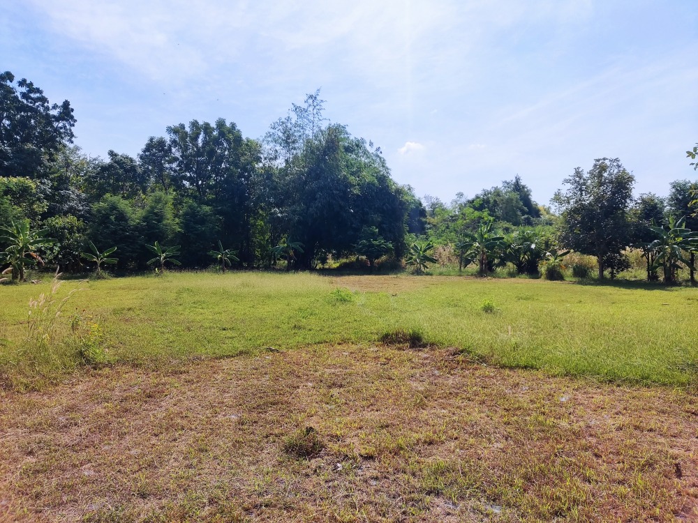 For SaleLandSaraburi : The land has been filled in and ready to build a house. Ban Suan atmosphere, good weather, can travel on many routes.