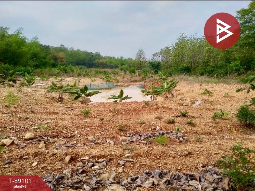 For SaleLandPhetchabun : Land for sale, area 6 rai 2 ngan 48 square wah, Na Pa, Phetchabun.