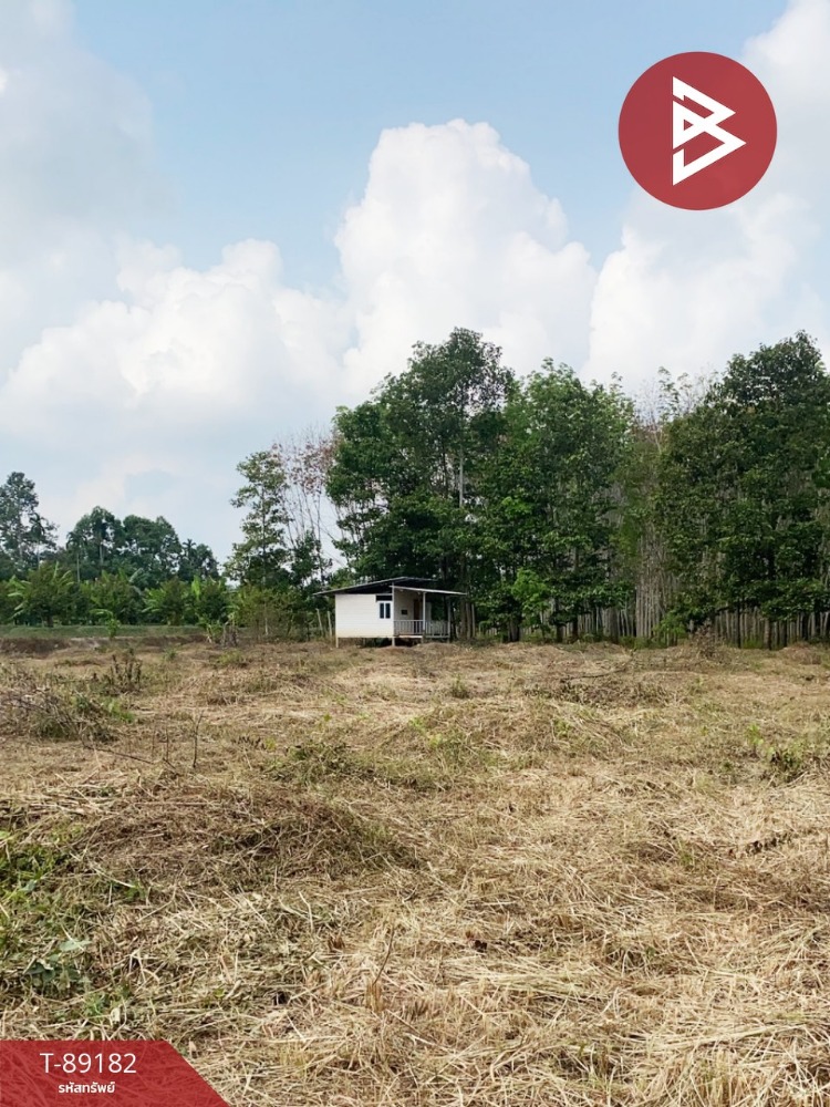 For SaleLandChanthaburi : Empty land for sale, area 3 rai 2 ngan 47 square wah, Makham, Chanthaburi.