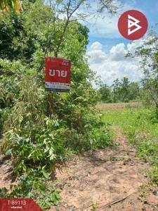 For SaleLandKhon Kaen : Land for sale, area 4 rai 47 square wa, Manchakhiri, Khon Kaen.