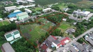 For SaleLandRatchaburi : Land for sale, Ban Khong Subdistrict, Photharam District, Ratchaburi Province, 10 rai 1 ngan 58 sq m., near important economic sources.