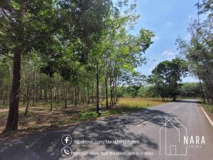 For SaleLandPhuket : 📣 FOR SALE‼️...✨️✨️Land in Thalang, Phuket✨️✨️