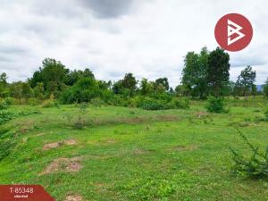 For SaleLandPrachin Buri : Empty land for sale, area 1 ngan 80 square meters, Nadi, Prachinburi.