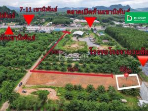 For SaleLandKoh Samui, Surat Thani : Land for sale, already filled in, Wiang Sa, Surat Thani, 189 sq m, price 1.6 million baht, good location, road in front of public plot.