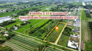 ขายที่ดินปทุมธานี รังสิต ธรรมศาสตร์ : ขาย ที่ดินเปล่า 5 ไร่ คลอง 8 (ฝั่งตะวันออก) หนองเสือ ปทุมธานี ติดถนนลาดยาง ราคาถูก