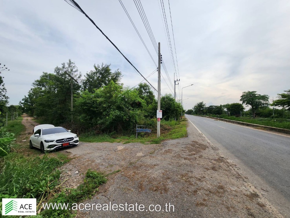 ขายที่ดินปทุมธานี รังสิต ธรรมศาสตร์ : ที่ดินราคาถูก จ.ปทุมฯ อ.หนองเสือ ต.บึงกาสาม ขนาด 200 ตรว.