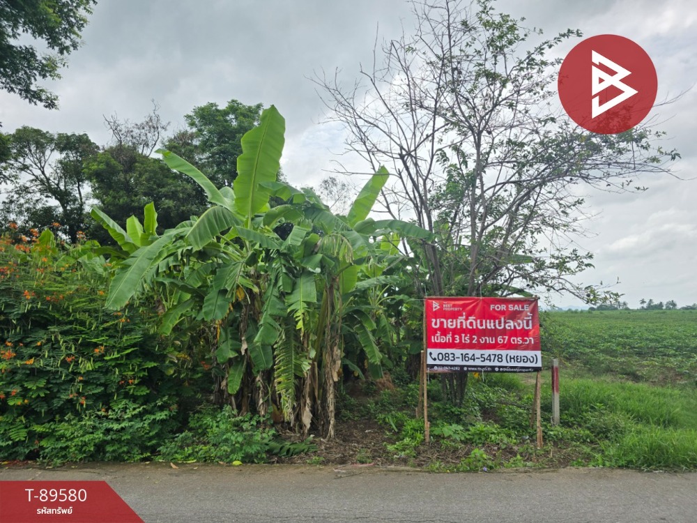 For SaleLandKanchanaburi : Empty land for sale urgently, area 3 rai 2 ngan 67 square wah, Tha Muang, Kanchanaburi.