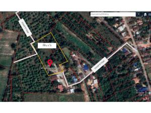 For SaleLandPhitsanulok : land for sale, 6 rai, suitable for a house to live in. Near Wang Thong District Electricity Authority