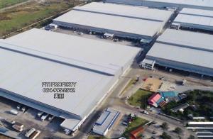 For RentFactorySamut Prakan,Samrong : 🚩Warehouse + office for rent, Bang Phli District, Samut Prakan Province. Near Suvarnabhumi Airport, 4,578 sq m., price 155 baht/sq m.