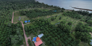 For SaleLandChumphon : Land for sale 100 square wah, Chumphon, near the sea.