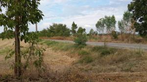 For SaleLandPhichit : Land for sale in Phichit for agriculture, next to public roads, total 42-3-54 rai.