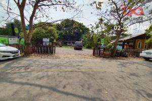 For SaleLandRama5, Ratchapruek, Bangkruai : Land for sale, 507 square meters, Soi Ratchaphruek 5, Ratchaphruek Road.