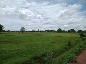 For SaleLandRatchaburi : Land for sale in Chom Bueng, Ratchaburi, 23 rai, 3 ngan, 350,000 per rai. Owner is selling it himself.