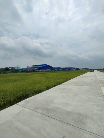 For SaleLandChachoengsao : Land for sale in Chachoengsao, EEC area, purple map, white dots, selling 5 rai to 30 rai, suitable for factory, beautiful plot, wide frontage, on public road, road width 8-10 meters, large vehicles can enter easily.