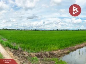 For SaleLandChiang Rai : Land for sale, area 9 rai 5 square wah, Wiang Chai, Chiang Rai