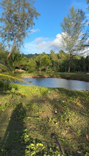 For SaleLandKrabi : Land next to the sea Private beach, Koh Sriboya, Krabi Province