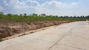 For SaleLandSriracha Laem Chabang Ban Bueng : Land for building a house Build a factory/warehouse in Nong Klang Dong, Bueng Subdistrict, Si Racha District, Chonburi Province.