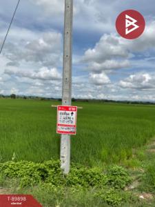 For SaleLandChiang Rai : Land for sale, area 9 rai 5 square wah, Wiang Chai, Chiang Rai