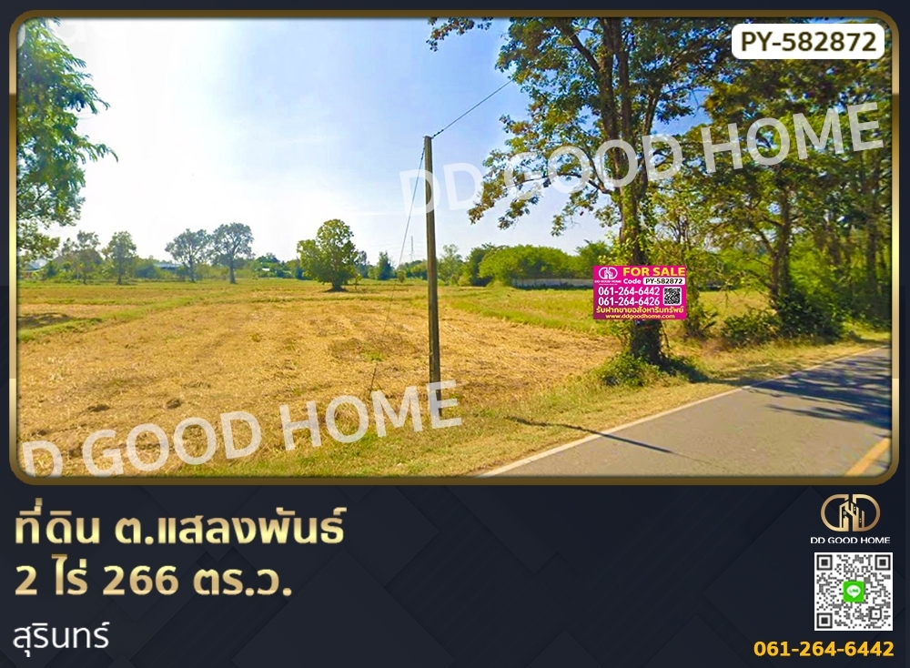 ขายที่ดินสุรินทร์ : ที่ดิน ต.แสลงพันธ์ 2 ไร่ 266 ตร.ว. สุรินทร์