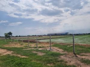 For SaleLandChachoengsao : Land for sale, 3-12 rai, Mueang Chachoengsao District, Chachoengsao Province, light purple plan with white dots, District 2, is an EEC industrial development zone area, suitable for building factories, warehouses.