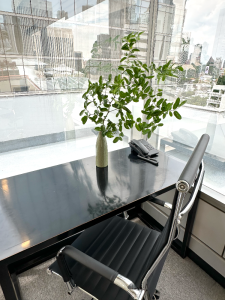 For RentOfficeWitthayu, Chidlom, Langsuan, Ploenchit : Serviced Office 1-3 persons