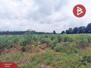 For SaleLandPrachin Buri : Empty land for sale, area 5 rai 3 ngan 36 square wah, Si Maha Phot, Prachinburi.