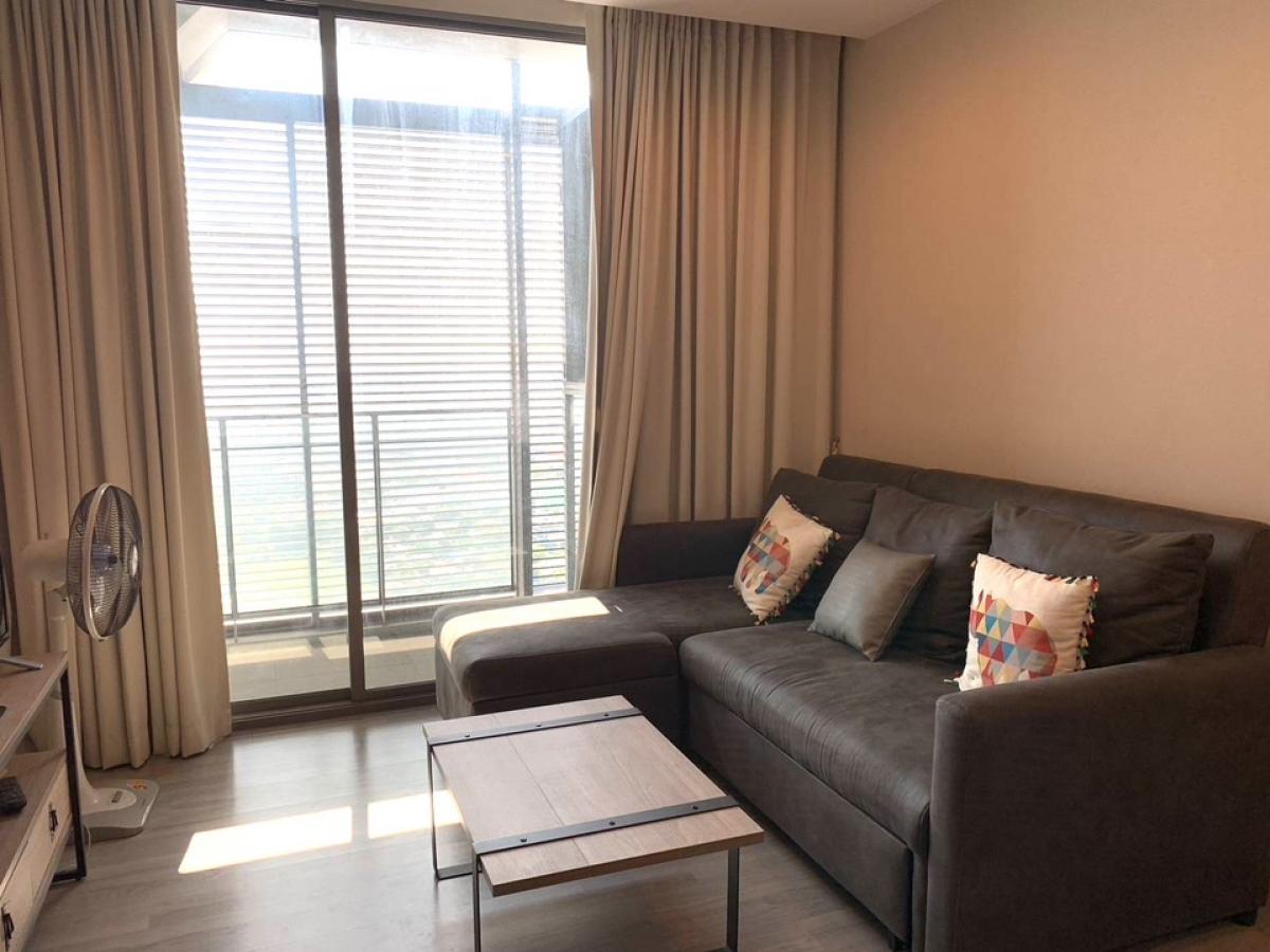 For RentCondoBang Sue, Wong Sawang, Tao Pun : Rent 333 riverview, River view , and big grade and pool view 1bed 46 sqm . Value for money , Fully furnished and ready to move . please call 📞 + 66 95 654 4949