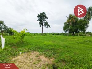 For SaleLandRatchaburi : Land for sale with buildings, area 1 rai 1 ngan 43.8 square wah, Photharam, Ratchaburi.