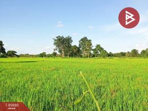 For SaleLandMaha Sarakham : Land for sale, area 8 rai 1 ngan 74 square wah, Na Chueak, Maha Sarakham.