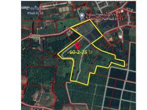 For SaleLandChiang Mai : Land for sale 60 rai, Fang District, Chiang Mai Province - Old Som Farm (Land for Sales in Chiengmai) - 0982565156, Line: tonytengt