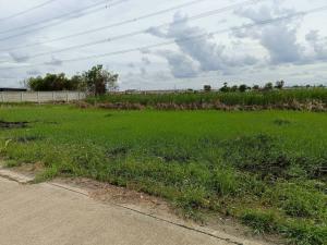 For SaleLandMin Buri, Romklao : Land for sale, 2 rai 10 wa, good location, Nong Chok, along Wari, Soi Thamrong Winitchai - Pusayapaiboon, Mahanakorn University.