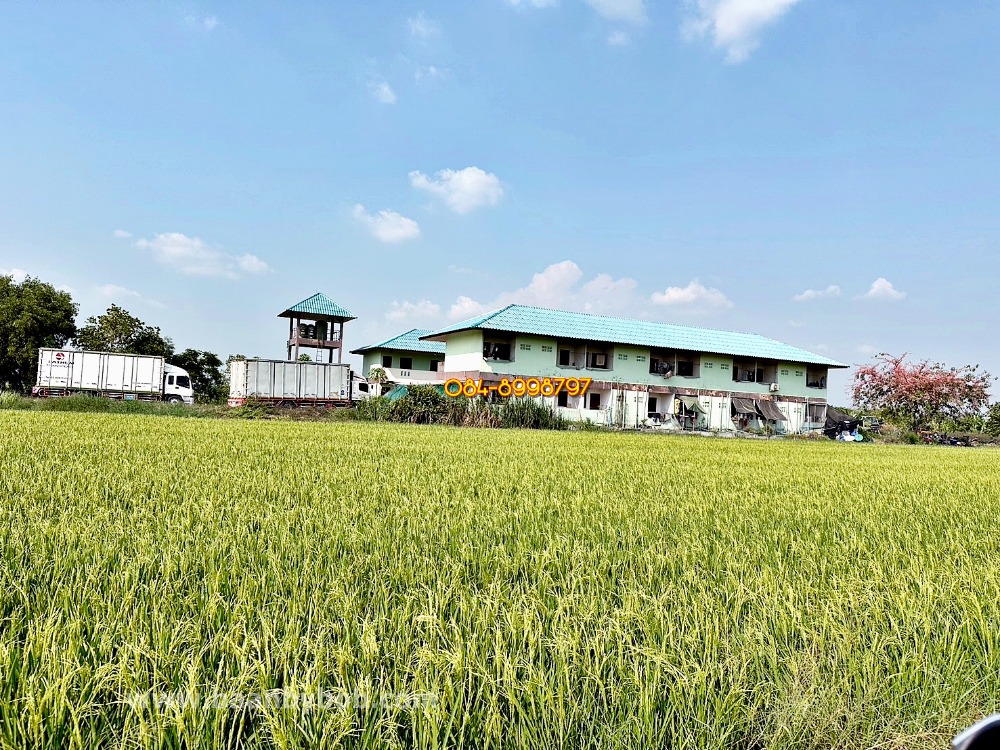 ขายที่ดินปทุมธานี รังสิต ธรรมศาสตร์ : ขายที่ดินพร้อมสิ่งปลูกสร้างหอพัก ต.คลองหก อ.คลองหลวง จ.ปทุมธานี เนื้อที่ 10 ไร่ ขายถูกยกแปลง 12.5 ล้านบาท เท่านั้น